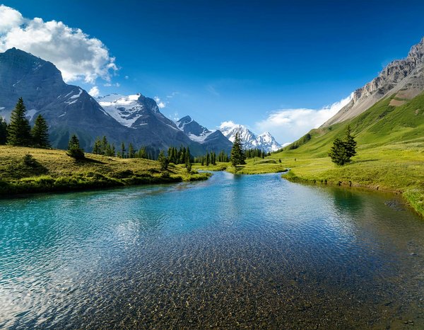 Explorez l'Enchantement des Gîtes de France : Que Découvrir Pendant Votre Séjour ?